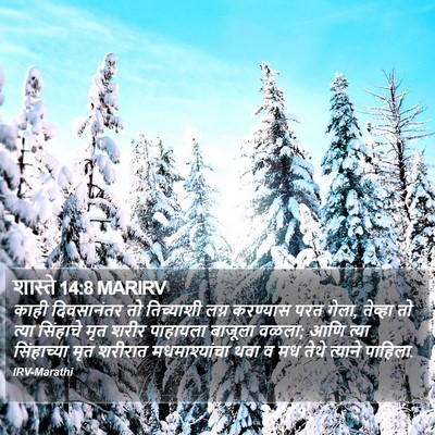 शास्ते 14:8 MARIRV Bible Verse Image