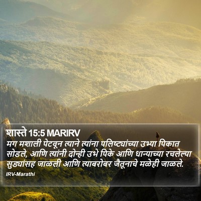 शास्ते 15:5 MARIRV Bible Verse Image