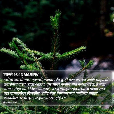 शास्ते 16:13 MARIRV Bible Verse Image