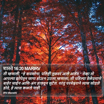शास्ते 16:20 MARIRV Bible Verse Image