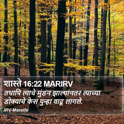 शास्ते 16:22 MARIRV Bible Verse Image