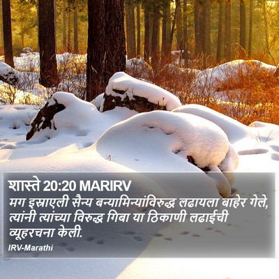 शास्ते 20:20 MARIRV Bible Verse Image