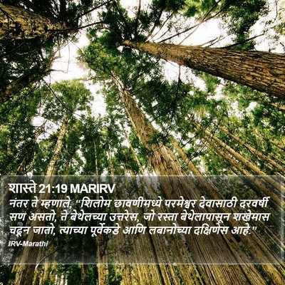 शास्ते 21:19 MARIRV Bible Verse Image