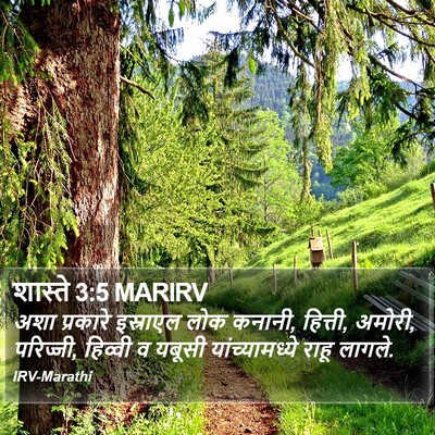 शास्ते 3:5 MARIRV Bible Verse Image
