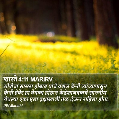 शास्ते 4:11 MARIRV Bible Verse Image