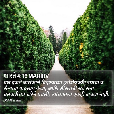 शास्ते 4:16 MARIRV Bible Verse Image
