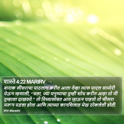 शास्ते 4:22 MARIRV Bible Verse Image