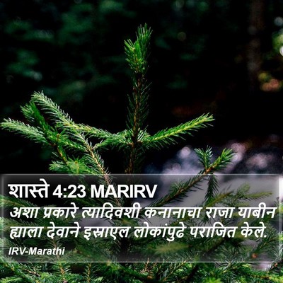 शास्ते 4:23 MARIRV Bible Verse Image