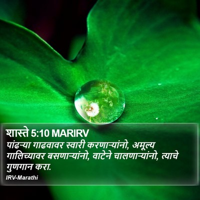 शास्ते 5:10 MARIRV Bible Verse Image
