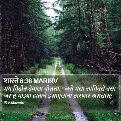 शास्ते 6:36 MARIRV Bible Verse Image