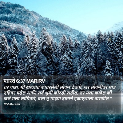 शास्ते 6:37 MARIRV Bible Verse Image