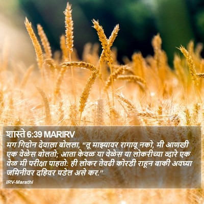 शास्ते 6:39 MARIRV Bible Verse Image