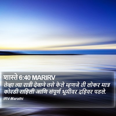 शास्ते 6:40 MARIRV Bible Verse Image