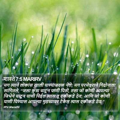 शास्ते 7:5 MARIRV Bible Verse Image