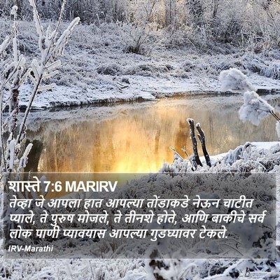 शास्ते 7:6 MARIRV Bible Verse Image