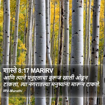 शास्ते 8:17 MARIRV Bible Verse Image