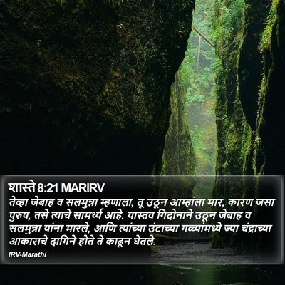 शास्ते 8:21 MARIRV Bible Verse Image