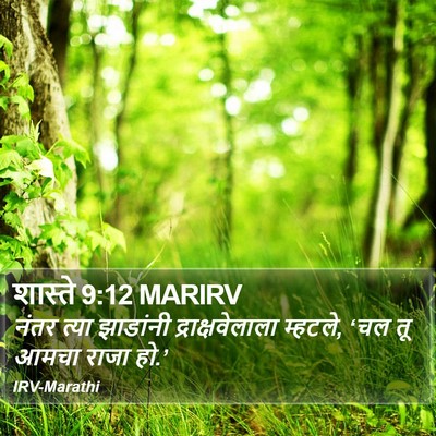 शास्ते 9:12 MARIRV Bible Verse Image