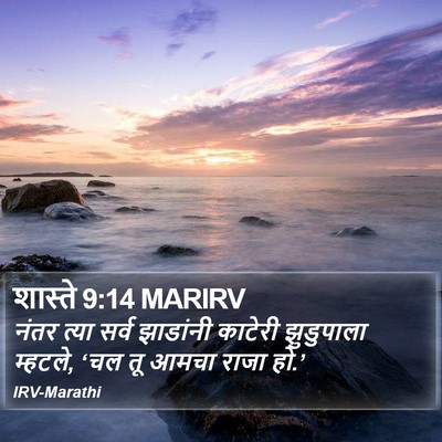 शास्ते 9:14 MARIRV Bible Verse Image