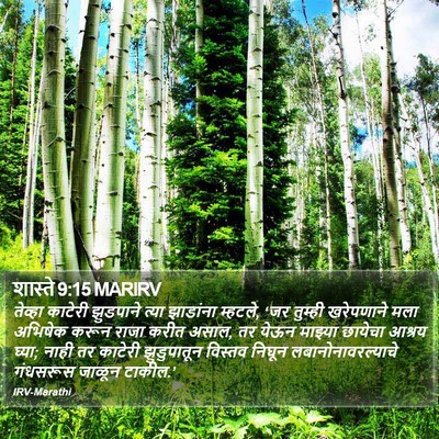 शास्ते 9:15 MARIRV Bible Verse Image