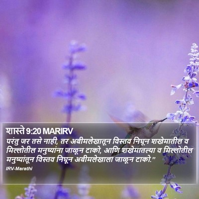 शास्ते 9:20 MARIRV Bible Verse Image