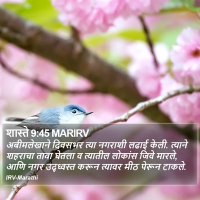 शास्ते 9:45 MARIRV Bible Verse Image