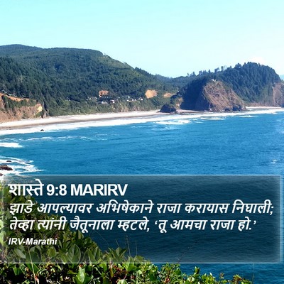 शास्ते 9:8 MARIRV Bible Verse Image
