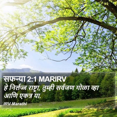 सफन्या 2:1 MARIRV Bible Verse Image