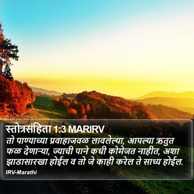स्तोत्रसंहिता 1:3 MARIRV Bible Verse Image