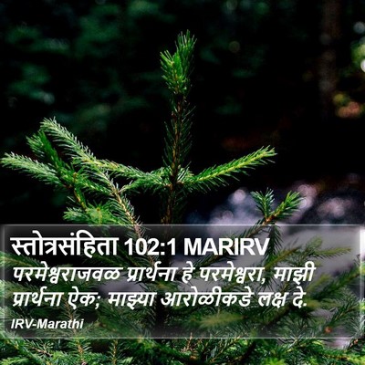 स्तोत्रसंहिता 102:1 MARIRV Bible Verse Image