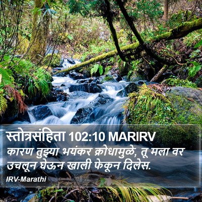 स्तोत्रसंहिता 102:10 MARIRV Bible Verse Image