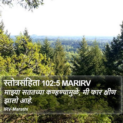 स्तोत्रसंहिता 102:5 MARIRV Bible Verse Image