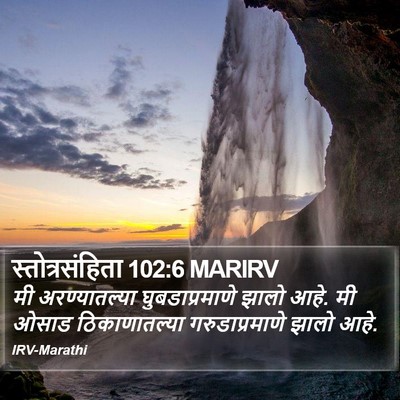 स्तोत्रसंहिता 102:6 MARIRV Bible Verse Image