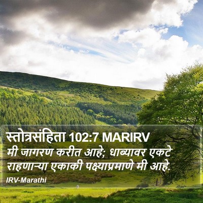 स्तोत्रसंहिता 102:7 MARIRV Bible Verse Image