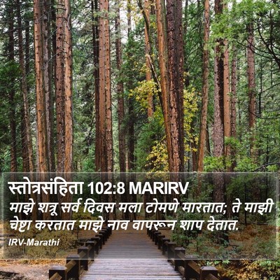 स्तोत्रसंहिता 102:8 MARIRV Bible Verse Image