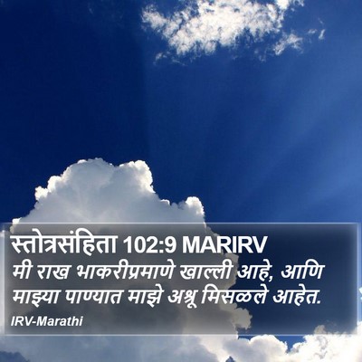 स्तोत्रसंहिता 102:9 MARIRV Bible Verse Image