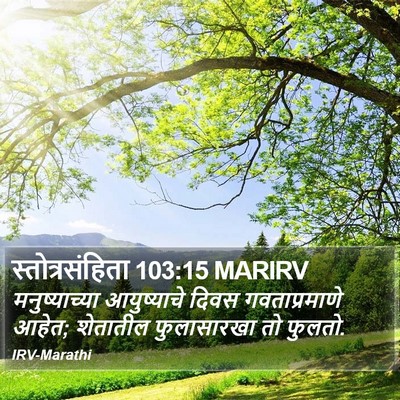 स्तोत्रसंहिता 103:15 MARIRV Bible Verse Image