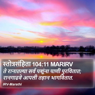 स्तोत्रसंहिता 104:11 MARIRV Bible Verse Image