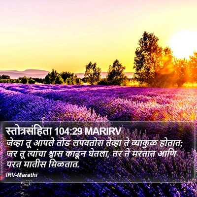 स्तोत्रसंहिता 104:29 MARIRV Bible Verse Image