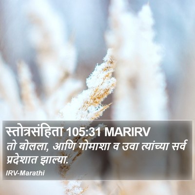 स्तोत्रसंहिता 105:31 MARIRV Bible Verse Image