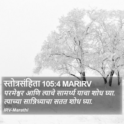 स्तोत्रसंहिता 105:4 MARIRV Bible Verse Image