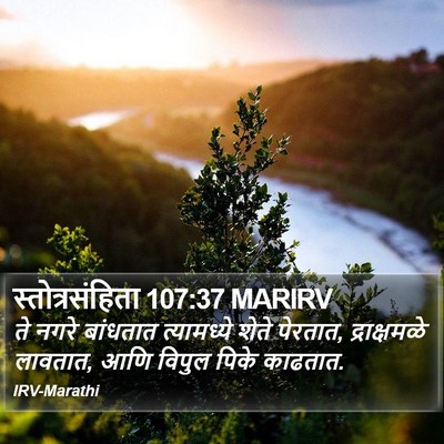 स्तोत्रसंहिता 107:37 MARIRV Bible Verse Image