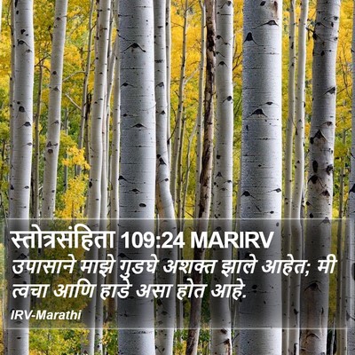 स्तोत्रसंहिता 109:24 MARIRV Bible Verse Image