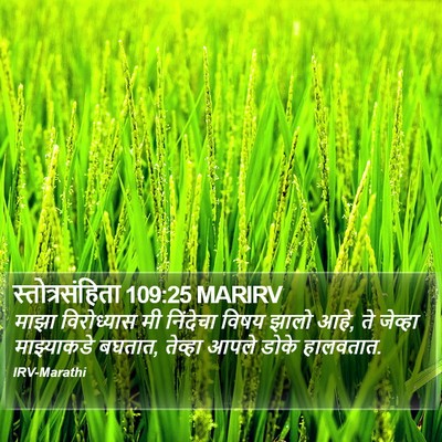 स्तोत्रसंहिता 109:25 MARIRV Bible Verse Image