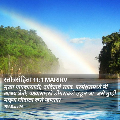 स्तोत्रसंहिता 11:1 MARIRV Bible Verse Image