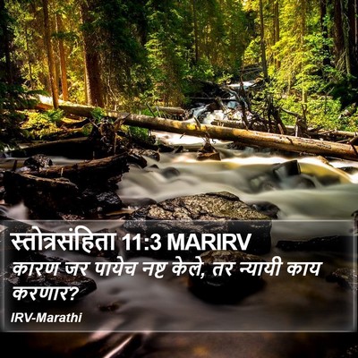 स्तोत्रसंहिता 11:3 MARIRV Bible Verse Image