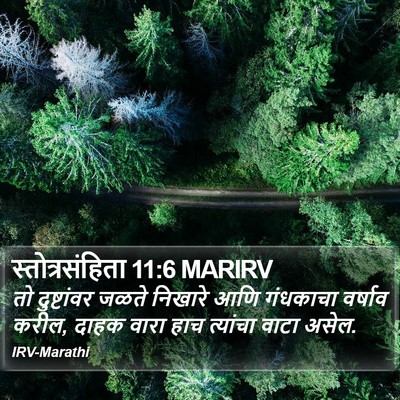 स्तोत्रसंहिता 11:6 MARIRV Bible Verse Image