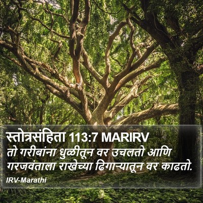 स्तोत्रसंहिता 113:7 MARIRV Bible Verse Image