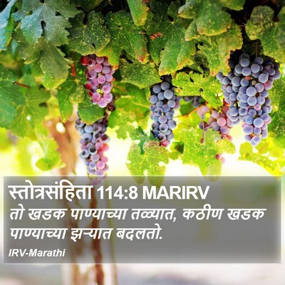 स्तोत्रसंहिता 114:8 MARIRV Bible Verse Image