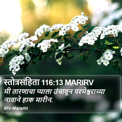 स्तोत्रसंहिता 116:13 MARIRV Bible Verse Image